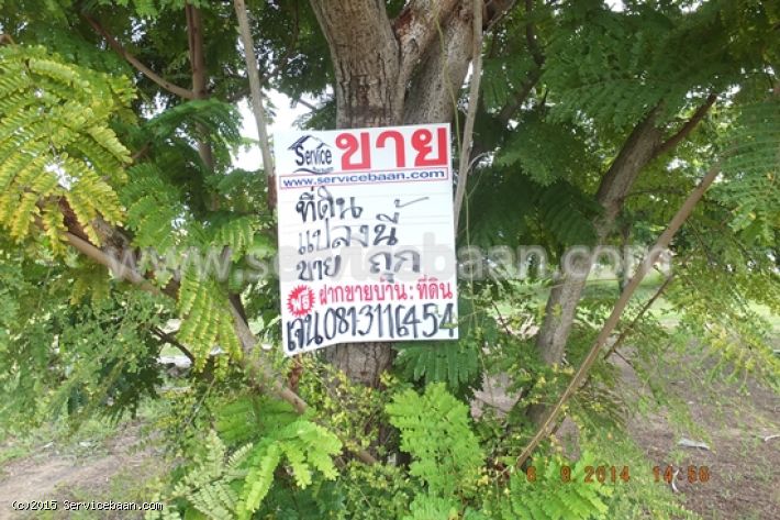  ขายที่ดินเปล่าเดอะลากูน 3 แปลงมุม เนื้อที่ 328.7 ตร.ว. ที่ถมแล้วทั้งแปลง     สามโคก,  จ.ปทุมธานี