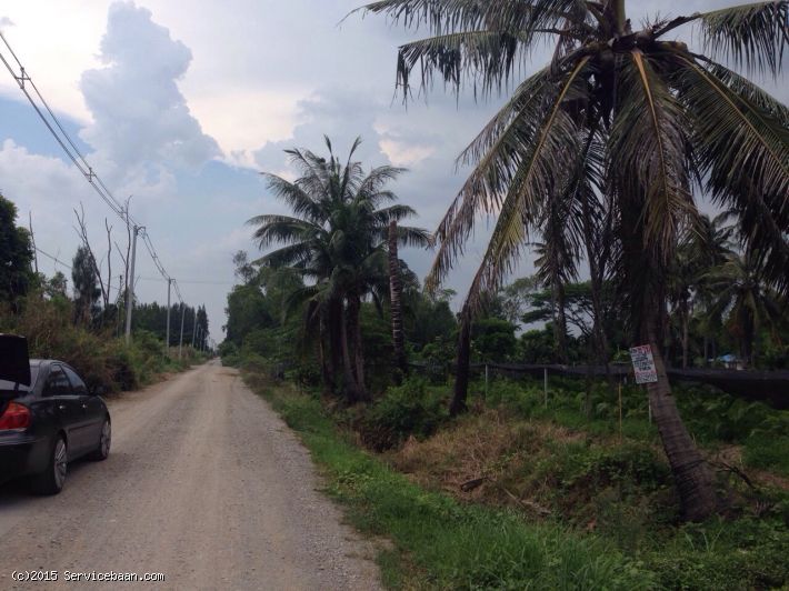 ที่ดินเปล่า ตำบลคลองโยง อ.พุทธมณฑล จ.นครปฐม ที่ดินเปล่า     พุทธมณฑล, นครปฐม