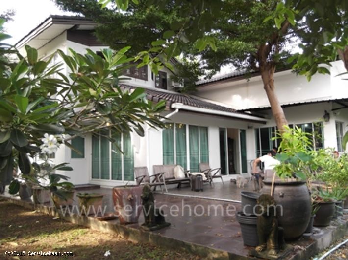 บ้านเดี่ยว สวย เนื้อที่ 549 ว้า ถ.ลาดพร้าว ซ .ลาดพร้าว 107 ทำเลดี ใกล้ ม.RBAC ติด คลองลำพังพวย บรรยากาศดี เหมาะอยู่อาศัย ทำอพาร์ทเม้นท์ บริษัท ถ.คอนกรีต หลายเลน ใกล้