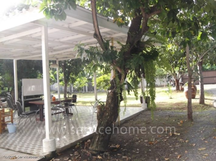 บ้านเดี่ยว สวย เนื้อที่ 549 ว้า ถ.ลาดพร้าว ซ .ลาดพร้าว 107 ทำเลดี ใกล้ ม.RBAC ติด คลองลำพังพวย บรรยากาศดี เหมาะอยู่อาศัย ทำอพาร์ทเม้นท์ บริษัท ถ.คอนกรีต หลายเลน ใกล้