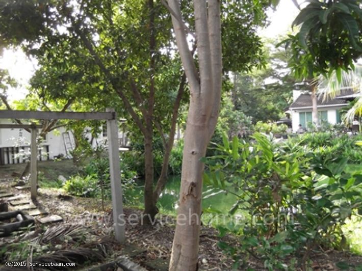 บ้านเดี่ยว สวย เนื้อที่ 549 ว้า ถ.ลาดพร้าว ซ .ลาดพร้าว 107 ทำเลดี ใกล้ ม.RBAC ติด คลองลำพังพวย บรรยากาศดี เหมาะอยู่อาศัย ทำอพาร์ทเม้นท์ บริษัท ถ.คอนกรีต หลายเลน ใกล้