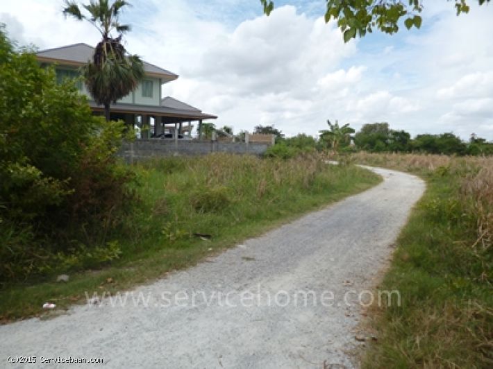 ที่ดินแปลงสวย ใกล้ ถ.สุขุมวิท 500เมตร ช่วงระหว่าง บางแสน-อ่าวศิลา ขายถูก ใกล้ห้าง, รพ. ทำเลดี เมืองชลบุรี     เมืองชลบุรี, ชลบุรี