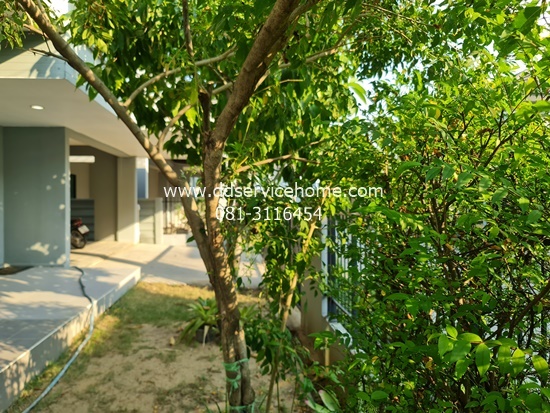 ดีไลท์ ดอนเมือง–รังสิต บ้านเดี่ยว 54 ตร.ว ราคา 5.5 ล้าน ใกล้ ม.รังสิต, รถไฟฟ้าสายสีแดง, ฟิวเจอร์พาร์ค รังสิต